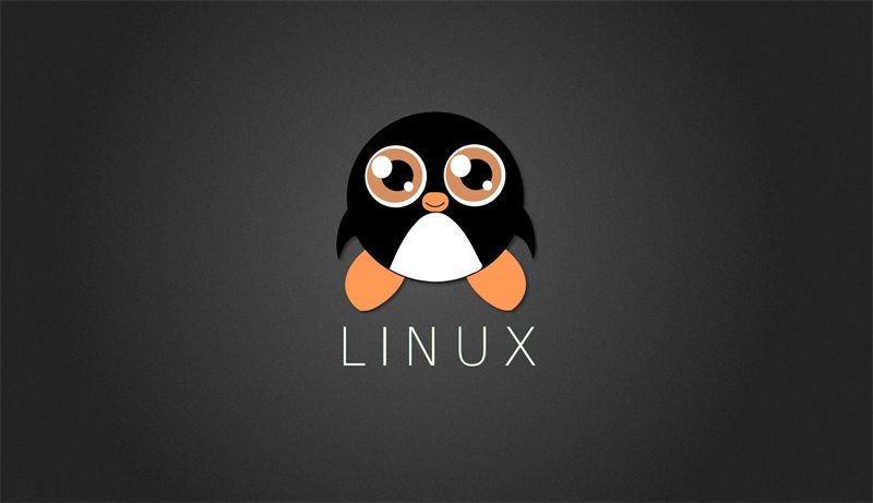 Debian12及以上版本宝塔面板无法安装MySQL5.6的原因及解决方案