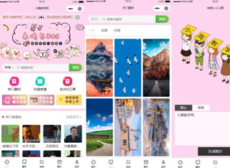 微信表情包小程序源码修复版 新增举牌功能-参考资源