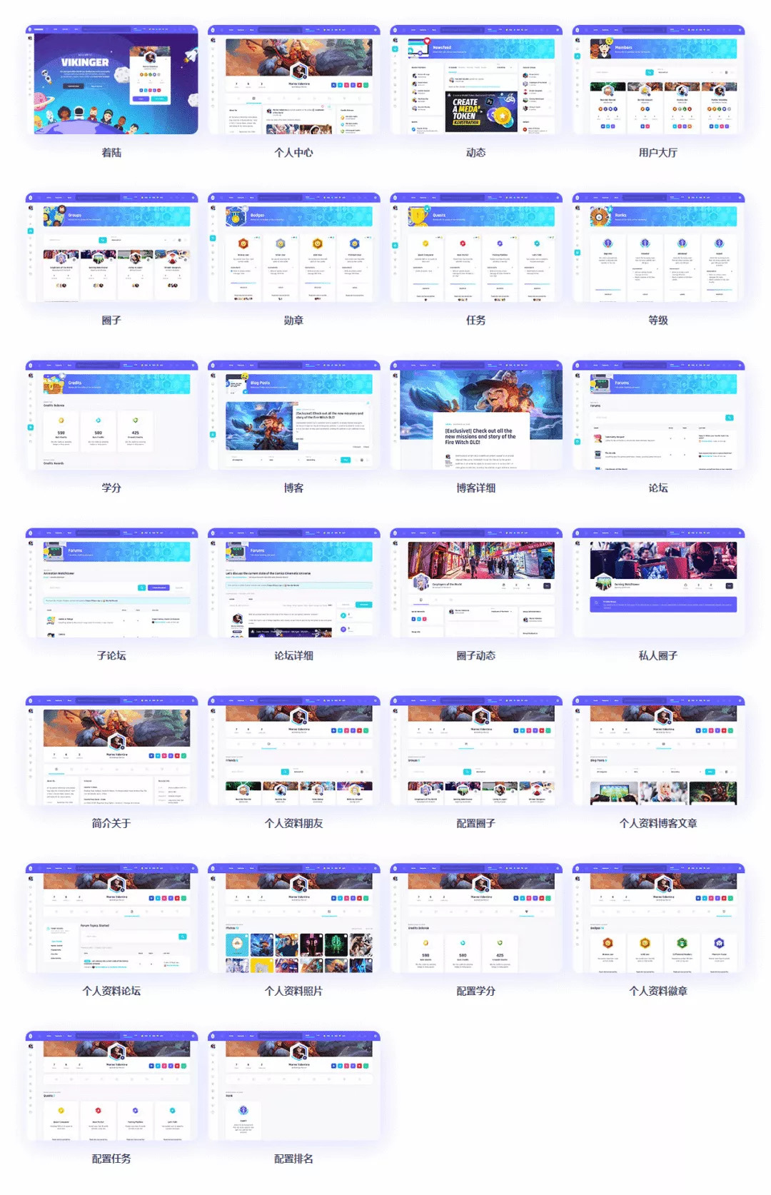 图片[1]-WordPress国外超人气主题Vikinger汉化版-参考资源