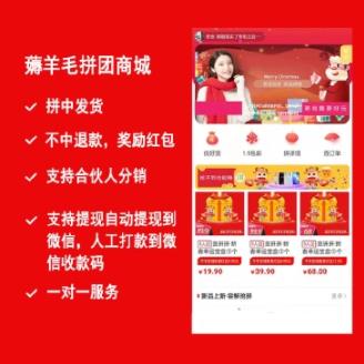 薅羊毛拼团小程序商城v2.5.8修复后台导入发货订单-参考资源