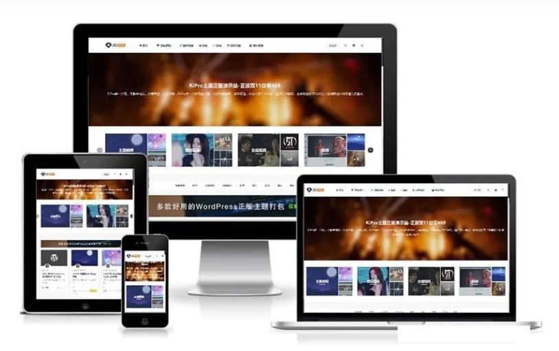 ripro虚拟资源主题8.9开心版/免授权/ripro日主题V8.9-参考资源