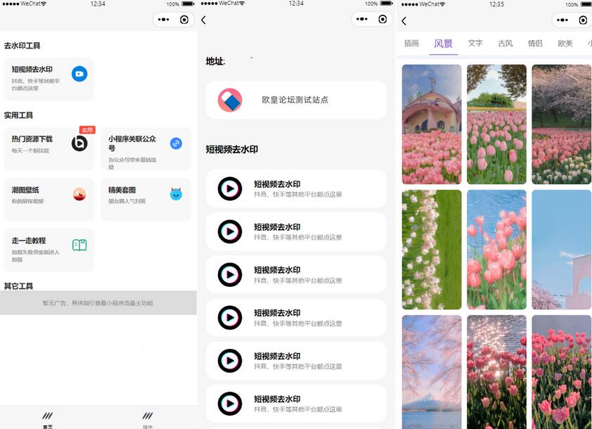 图片[1]-多接口带头像挂件制作短视频去水印微信小程序源码下载-参考资源