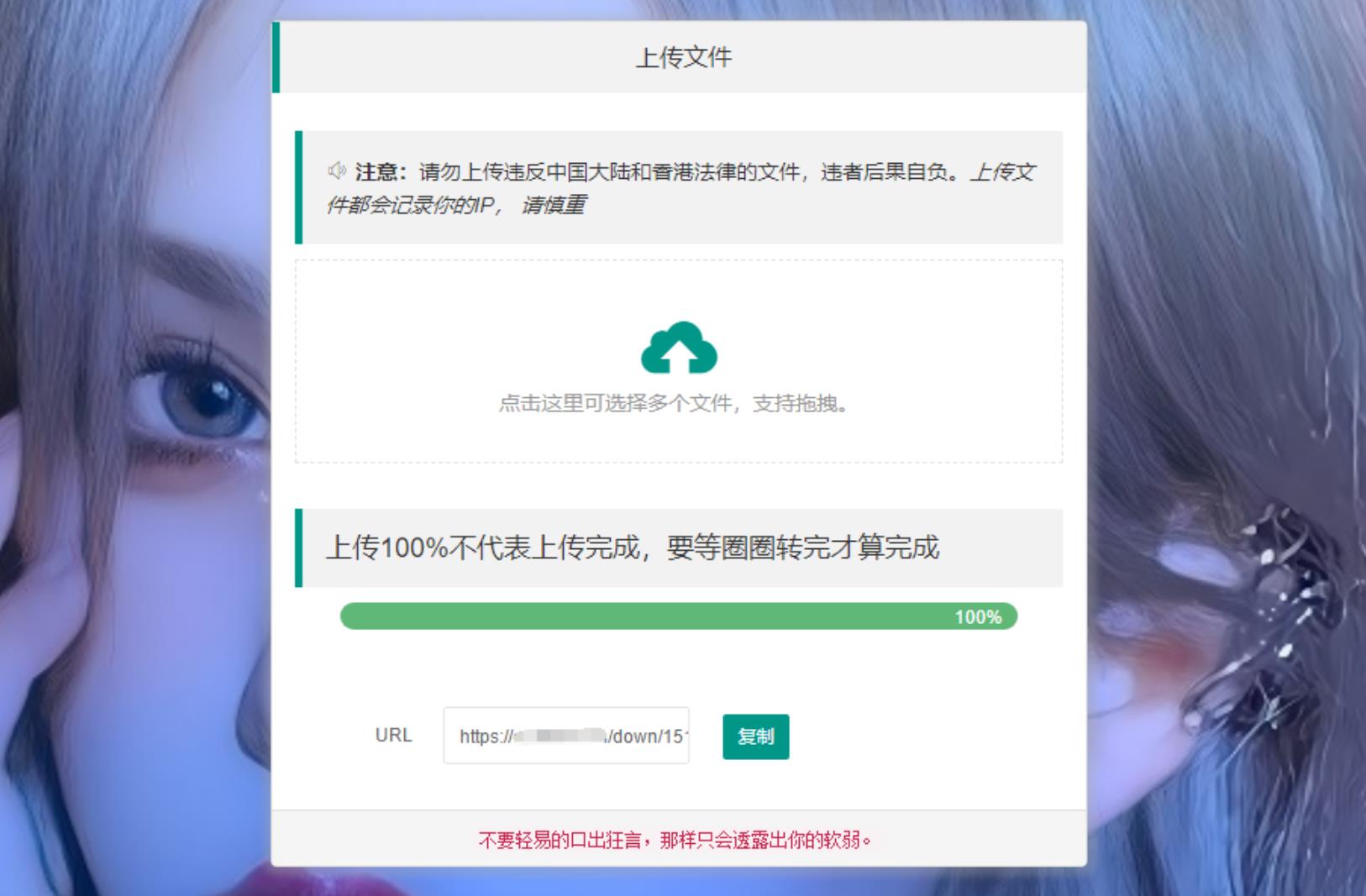 2023最新临时文件上传存储分享系统 临时文件网盘系统源码-参考资源